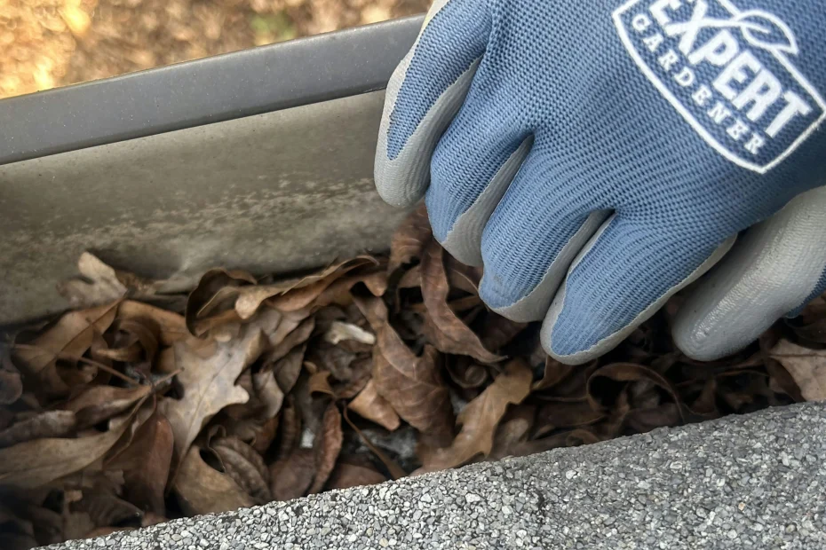 Gutter Cleaning Conroe, TX