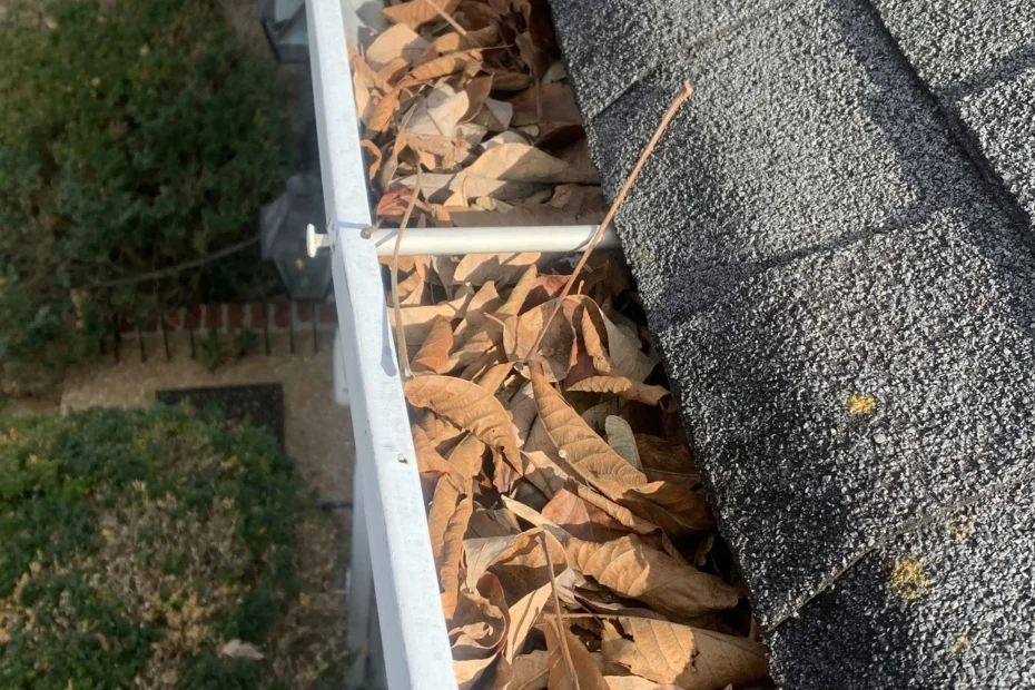 Gutter Cleaning Conroe, TX